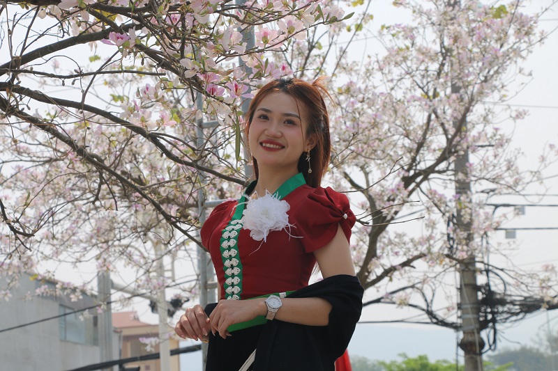 Sắc hoa ban nở giữa lòng thành phố Điện Biên Phủ