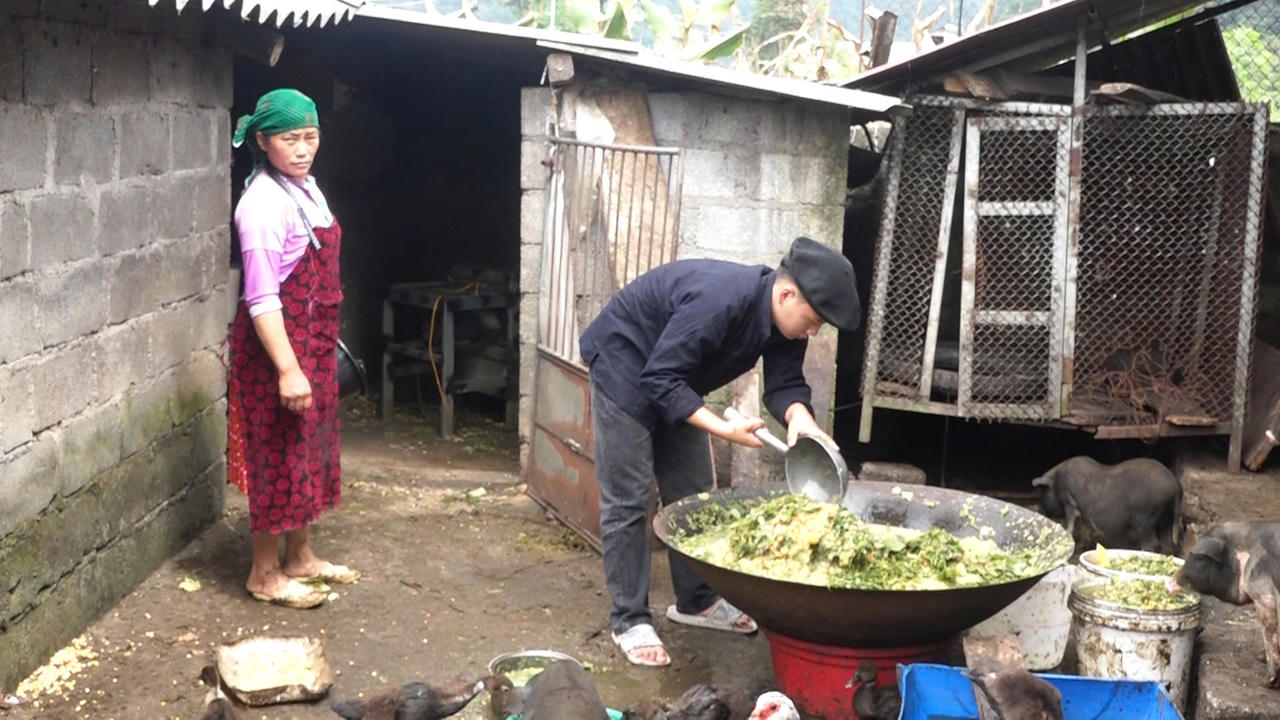 Hành trình chạm vào ước mơ đại học của chàng trai nghèo người Mông ở Hà Giang