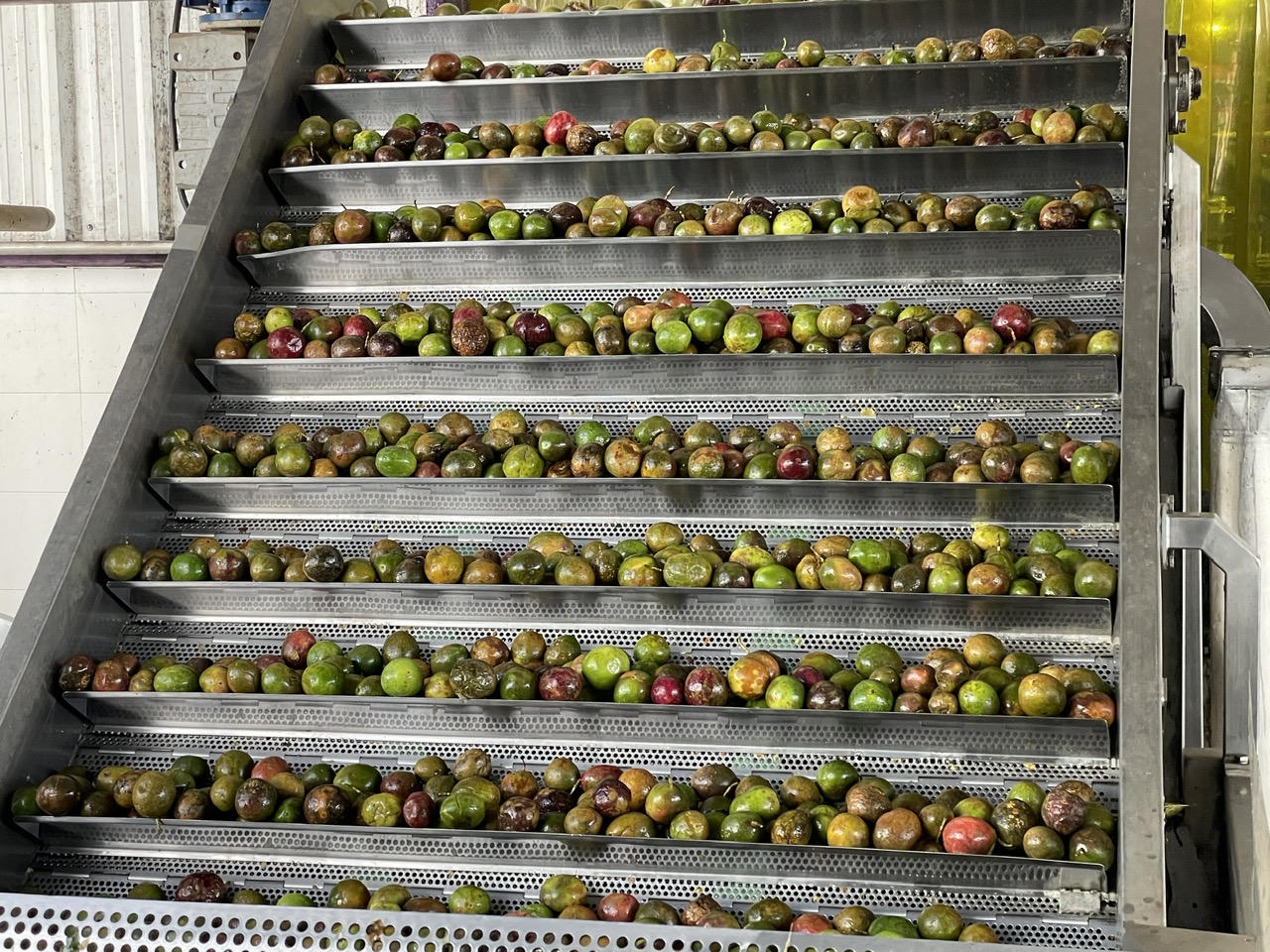 Công ty TNHH Quicornac - Phát triển ngành công nghiệp chế biến chanh dây bền vững tại Gia Lai