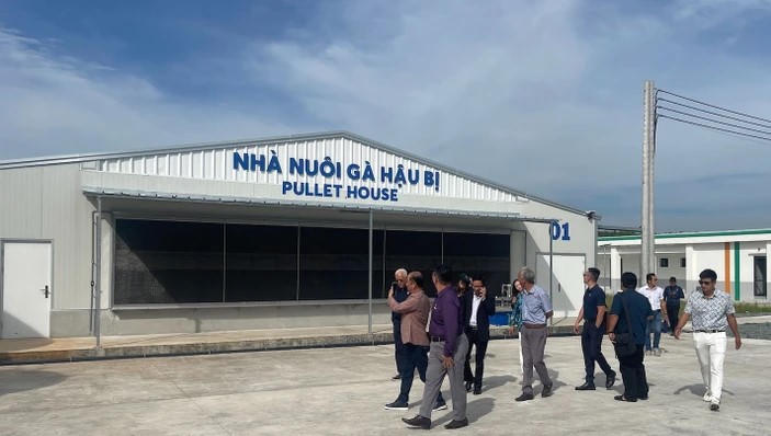 Mebi Farm - khu nuôi gà đẻ trứng công nghệ cao lớn nhất tỉnh Bình Thuận