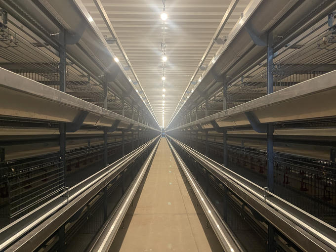 Mebi Farm - khu nuôi gà đẻ trứng công nghệ cao lớn nhất tỉnh Bình Thuận