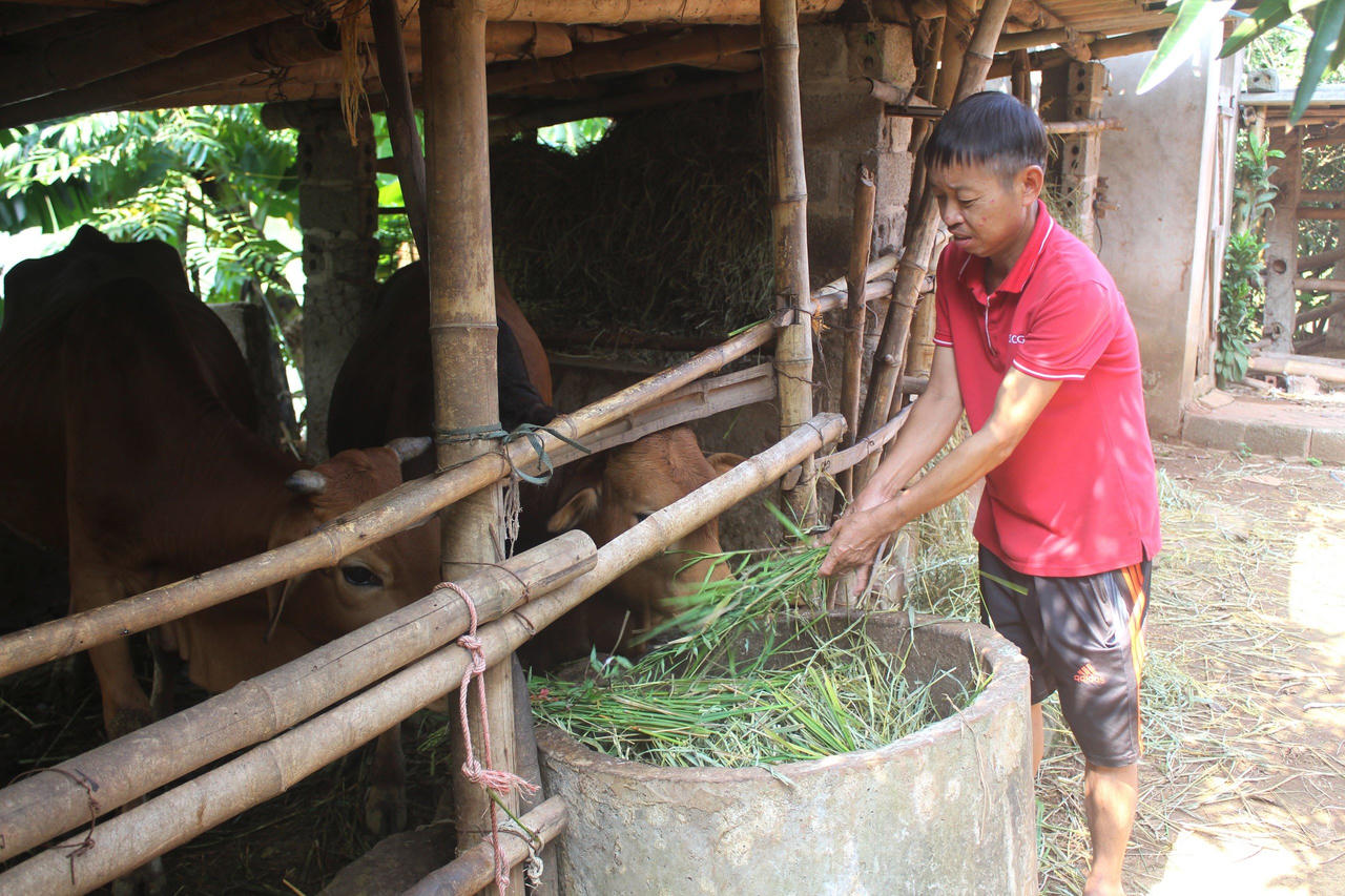 Phát triển kinh tế tại huyện Tân Lạc: Sự thích ứng và đổi mới trong Chính sách phát triển kinh tế - xã hội vùng đồng bào dân tộc thiểu số và miền núi.