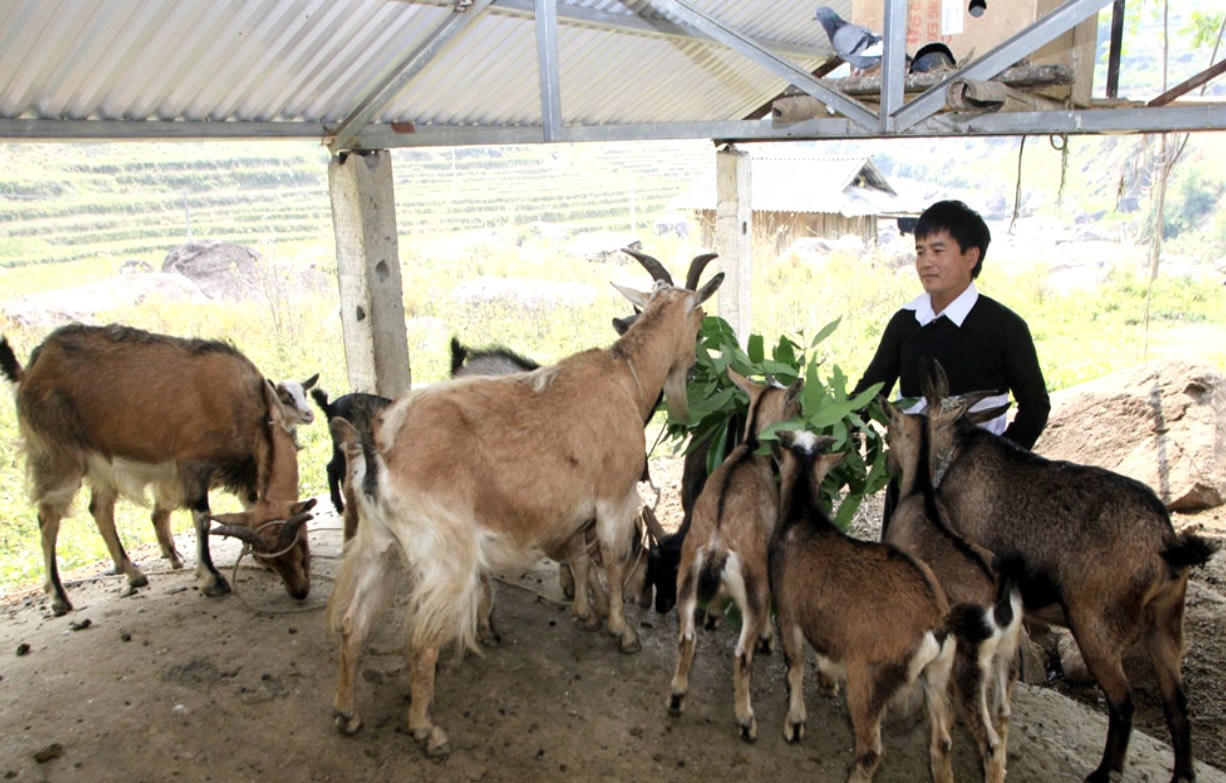 Vốn vay theo Nghị định 28, “đòn bẩy” để xóa đói giảm nghèo bền vững cho đồng bào dân tộc thiểu số