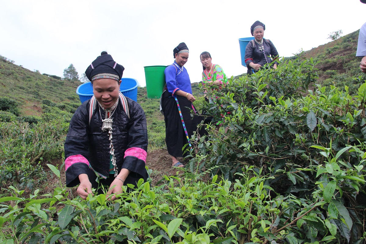 Hà Giang chú trọng phổ biến pháp luật cho đồng bào dân tộc