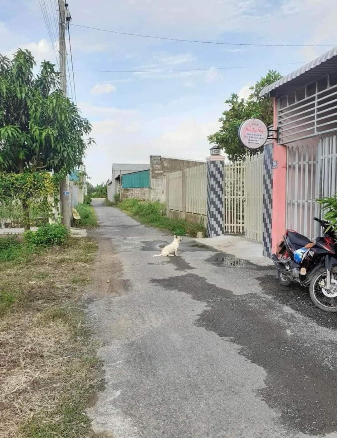 Trà Vinh: Chăm lo đời sống cho người dân đồng bào dân tộc thiểu số