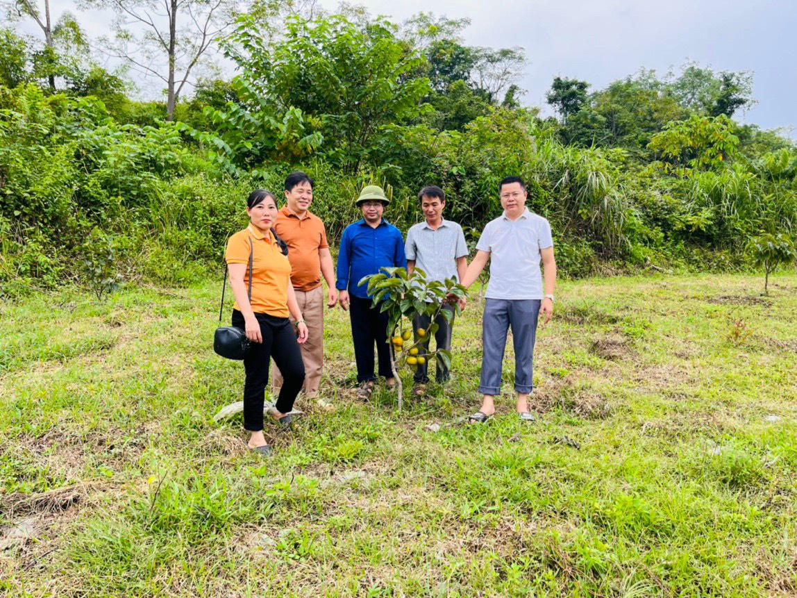 Na Rì, Bắc Kạn: Chính sách tín dụng góp phần xóa đói giảm nghèo cho đồng bào dân tộc 