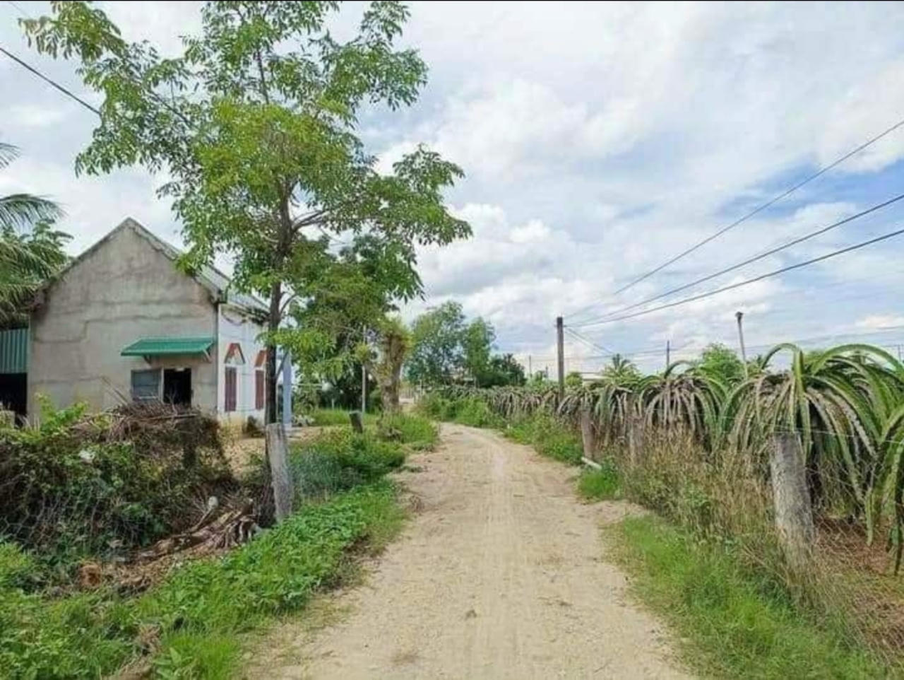 Tánh Linh (Bình Thuận) thực hiện tốt chính sách nhà ở và bảo đảm an sinh xã hội cho đồng bào dân tộc thiểu số và miền núi