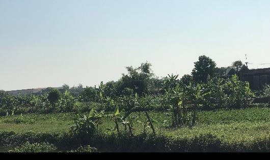 Lộ dấu hiệu "dàn xếp" trong việc đấu giá đất ở Tiền Hải, Thái Bình