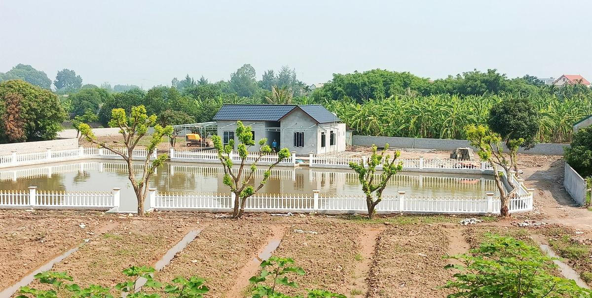 Hải Dương: Công trình xây dựng vi phạm đất đai xảy ra ngay cạnh trụ sở UBND xã An Thượng 