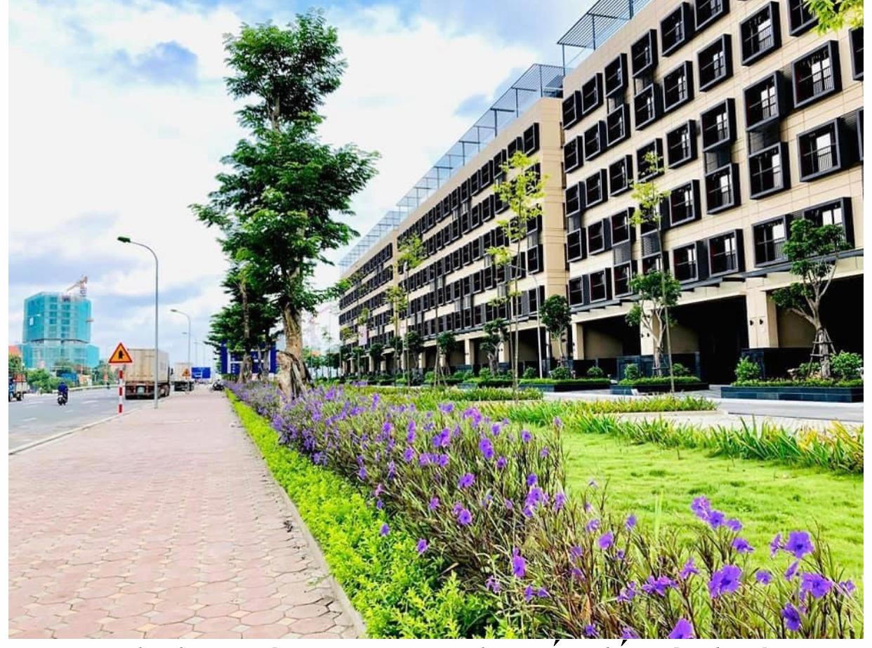 Lợi nhuận quý 3/2021 gấp ba lần cùng kỳ, IDJ Việt Nam – tiềm năng hay nhất thời? 