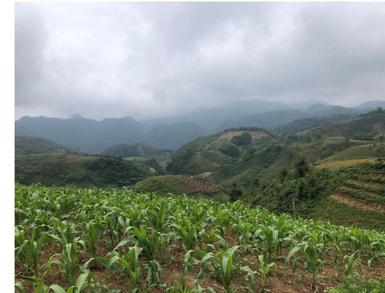 Mở rộng kinh tế phi nông nghiệp để cải thiện sinh kế nông thôn