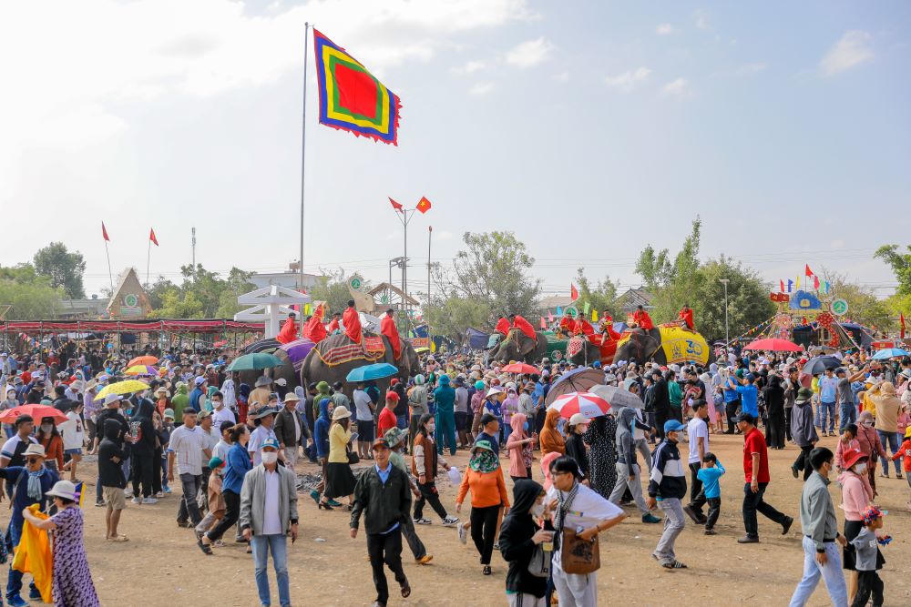 Độc đáo đại tiệc buffet dành cho voi ở Đắk Lắk