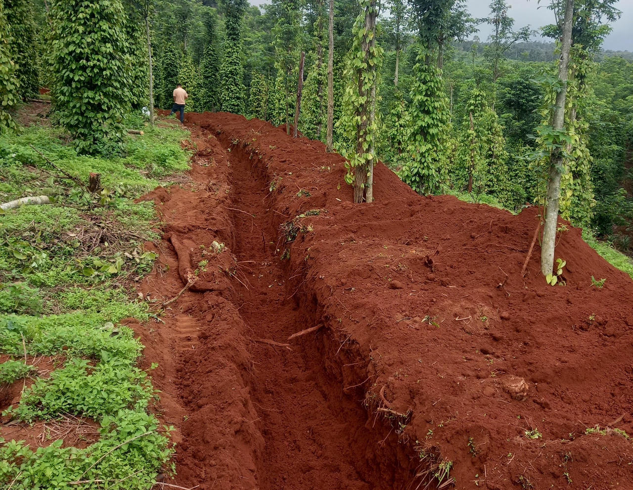 Triển khai loạt phương án ứng cứu hồ thủy lợi Đắk N’Ting