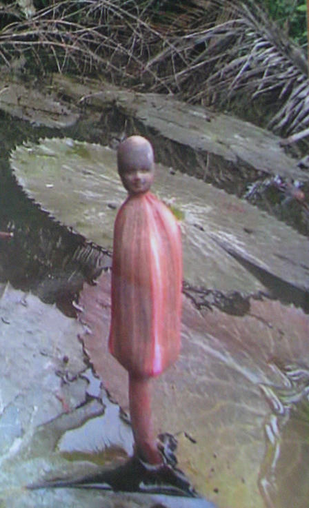 Người chết “hiển linh” vào hoa súng hình đầu chú tiểu?