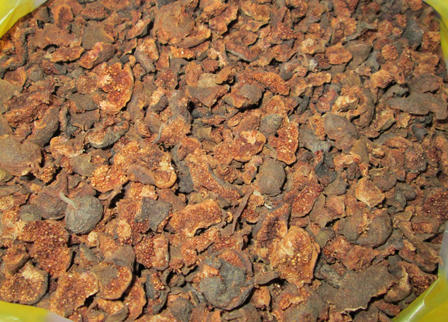 Chữa khỏi sỏi mật bằng quả sung 