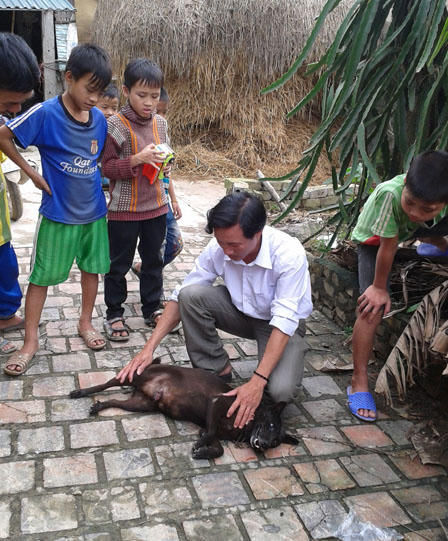 Chó đực đẻ con - chuyện chưa từng có ở Việt Nam