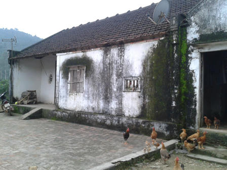 Ông nông dân nghèo bán bò đút lót Chánh án huyện 