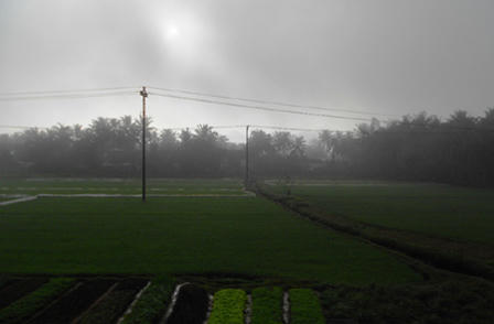 Sương mù dày đặc hiếm gặp ngày đầu năm mới