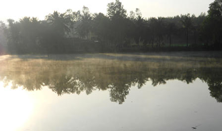 Sương mù dày đặc hiếm gặp ngày đầu năm mới