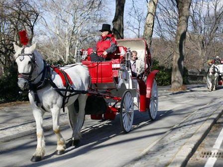 Tản mạn chuyện xe ngựa trên thế giới
