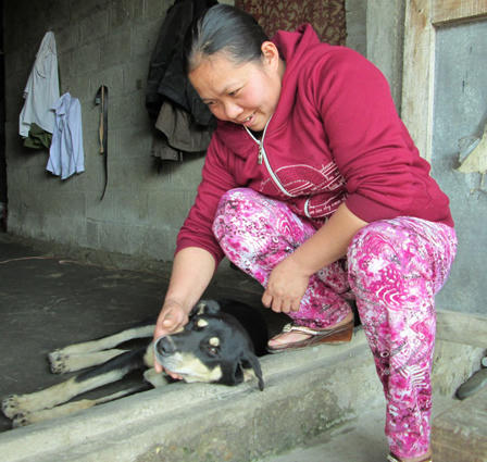 Bi hài quanh vụ tranh chấp chú chó “mê gái” 