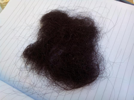 Chuyện tình cổ tích sau vụ đánh ghen kinh hoàng