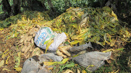 Nỗi oan của làng củ cải sạch