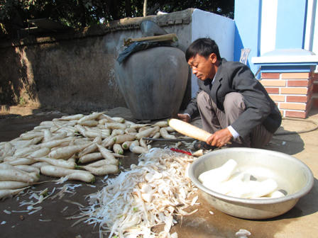 Nỗi oan của làng củ cải sạch