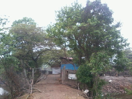 Bí ẩn cái chết của đôi vợ chồng trong “mẻ lưới quà Tết“