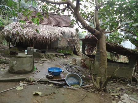 Chú chồng tà dâm đoạt mạng cháu dâu goá bụa