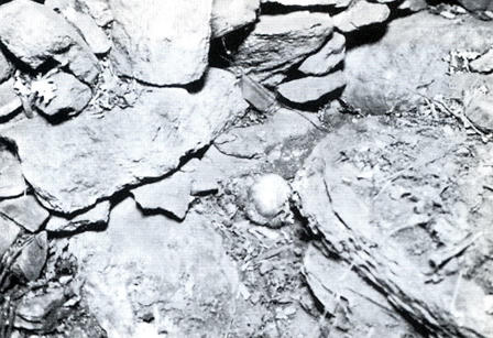 Sự thật vể kẻ tung hoang tin “ăn thịt 100 đứa trẻ“