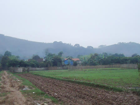 Giữ rừng lim bằng truyền thuyết “thần rừng” bắt vợ