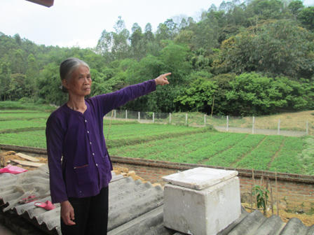 Cuộc đời lận đận của người đàn bà nghèo hiến đất cho cò