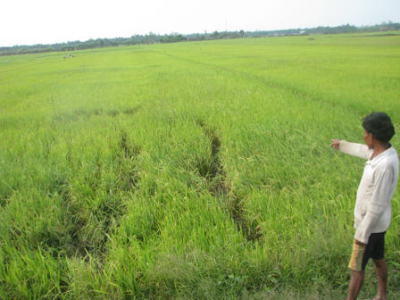 Lộ diện tên cướp đồng tính chuyên dụ nạn nhân “hành sự” để ra tay