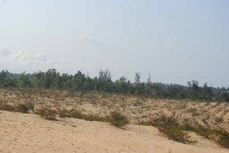 Làng quê trù phú hóa sa mạc tiêu điều vì nạn khai thác titan 