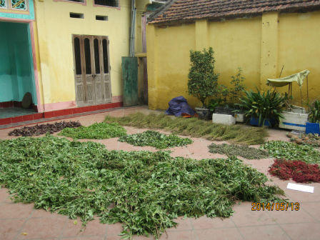 Vạch mặt "thánh mẫu"  bịp bợm “chữa bệnh” bằng... đấm đầu, bóp cổ