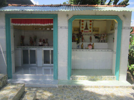 Vệt lõm trên cổ thụ có “hình mặt người” ở miếu Mạch Bà?