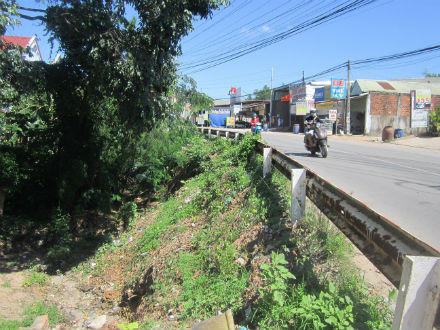 Vệt lõm trên cổ thụ có “hình mặt người” ở miếu Mạch Bà?