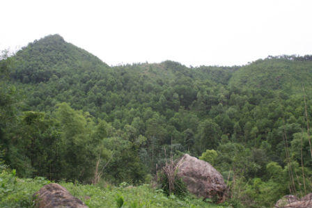 Rùng rợn: Nồi cao tinh tinh nấu nhầm.... xác người