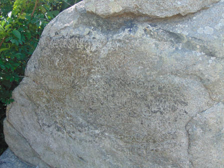 Huyễn hoặc câu chuyện “vàng sống” dưới chân hòn đá bí ẩn