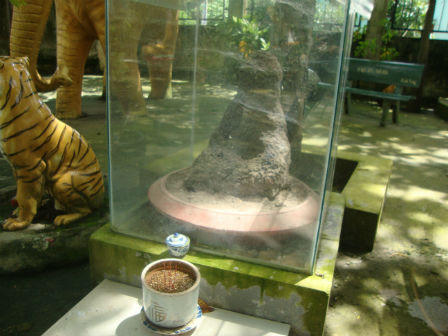 Nhà sư hiến thân cho bầy đỉa để dân làng bình yên?