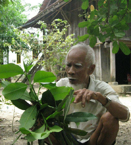 Lạ lùng tục treo tổ ong “trấn yểm” cửa nhà