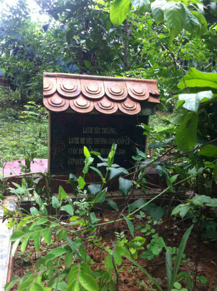 Tỉ phú phá sản vì dốc tiền xây biệt thự bạc tỉ “cung phụng”… chó hoang  