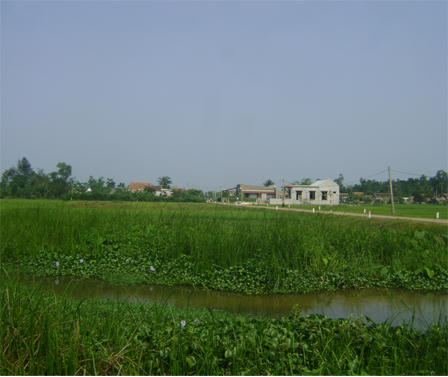 Thôn nữ đả hổ cứu bạn trai thoát chết