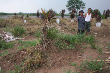 Vụ TMV Cát Tường: Tiết lộ lý do xác chị Huyền chưa phân hủy mà chỉ rụng chân tay