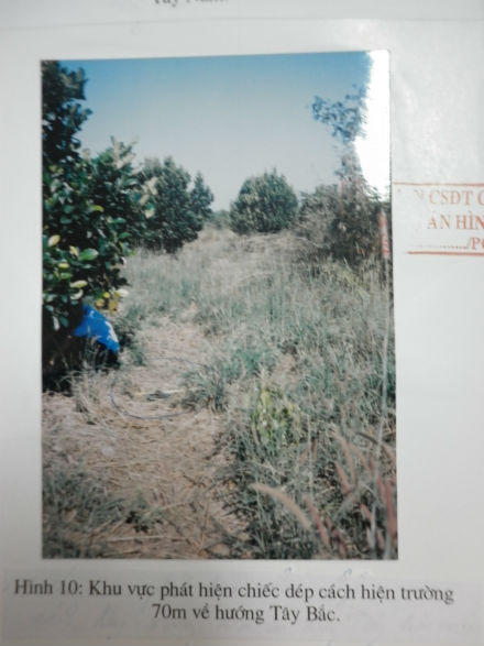 Phát hiện sửng sốt về sự dàn dựng vụng về từ A đến Z của "kỳ án vườn mít" ?