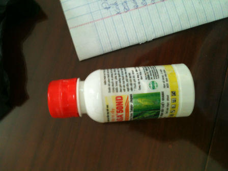 Sợ hãi “lòng dạ đàn bà ”, giết vợ hờ rồi tự sát?