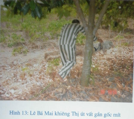 Lê Bá Mai đã bị kết án tử từ một bản giám định lơ mơ?