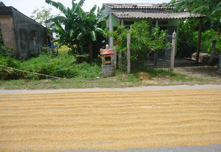 Uẩn khúc sau cái chết của nạn nhân bị ném chai bia trúng đầu?