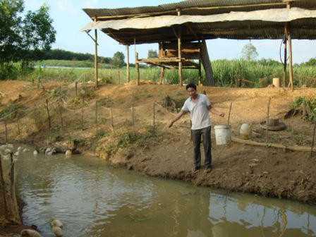 Rắc rối vụ án bé gái ngớ ngẩn đi bụi trong đêm, bị xâm hại tình dục